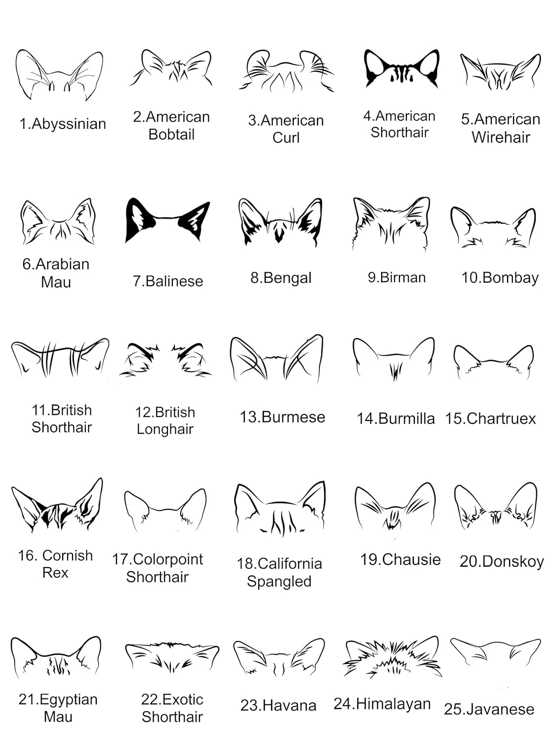 Egyedi Gravírozott Cica Fül És Név Nyaklánc