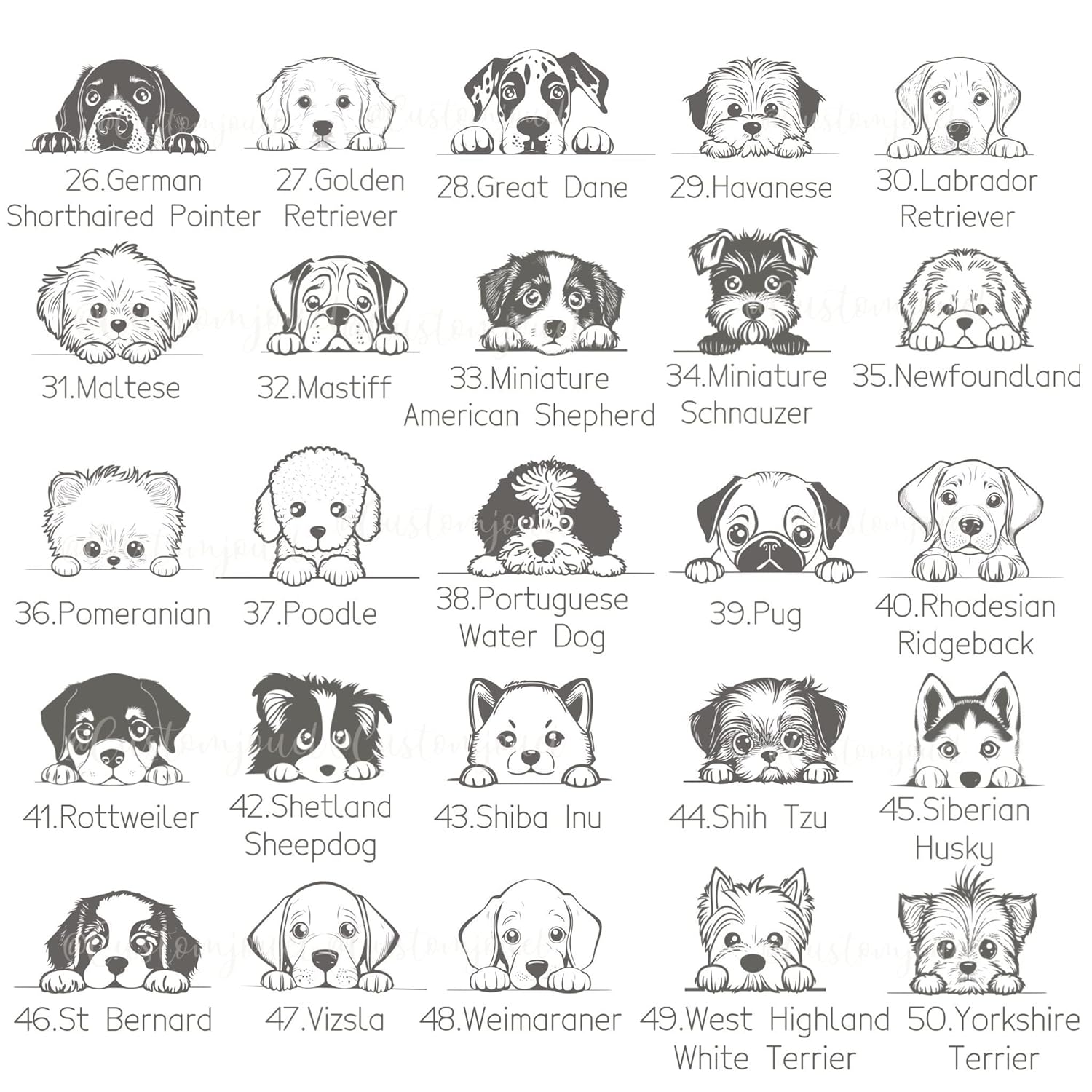 Egyedi Gravírozott Kutya És Név Nyaklánc