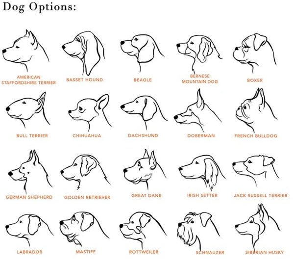 Gravírozható egyedi kutyás nyaklánc névvel